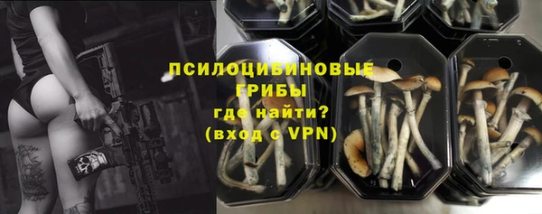 ешки Алексеевка
