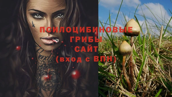 MDMA Алексин