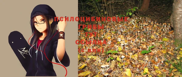 ешки Алексеевка